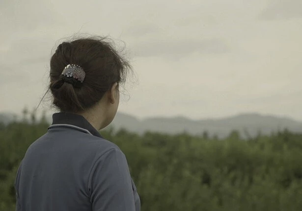 Цветы в тени 2019 скачать торрентом Цветы в тени 2019 скачать торрентом