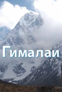 Гималаи / The Himalayas 2010 скачать через торрент в хорошем качестве