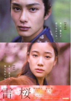 Молния для дерева / Raiou 2010 скачать через торрент в хорошем качестве