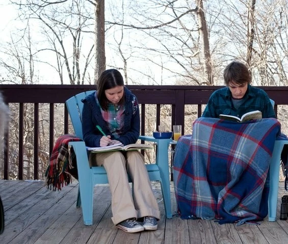 Светло-зелёный 2013 скачать с торрента Светло-зелёный 2013 скачать с торрента