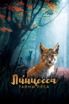 Линцесса. Тайны леса / Lincessa. Los silencios del bosque 2023 скачать через торрент в хорошем качестве