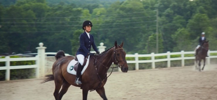 Моя лошадь 2016 скачать торрентом Моя лошадь 2016 скачать торрентом