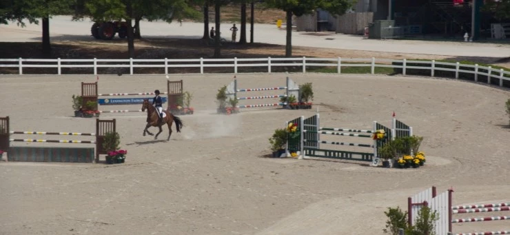 Моя лошадь 2016 скачать с торрента Моя лошадь 2016 скачать с торрента