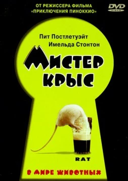 Мистер крыс / Rat 2000 скачать через торрент в хорошем качестве