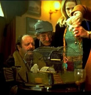 Мистер крыс 2000 скачать торрентом Мистер крыс 2000 скачать торрентом