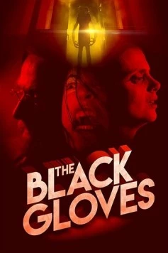 Чёрные перчатки / The Black Gloves 2017 скачать через торрент в хорошем качестве