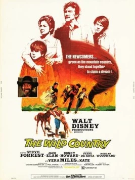Повеса за городом / The Wild Country 1970 скачать через торрент в хорошем качестве
