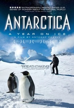Антарктида: Год на льду / Antarctica: A Year on Ice 2013 скачать через торрент в хорошем качестве