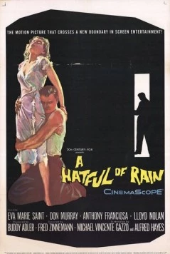 Шляпа, полная дождя / A Hatful of Rain 1957 скачать через торрент в хорошем качестве