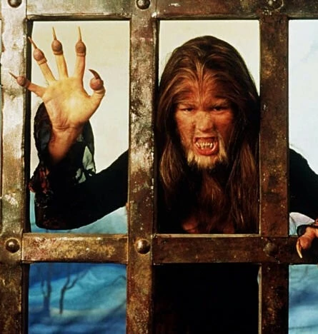 Охота на оборотня 2001 скачать с торрента Охота на оборотня 2001 скачать с торрента