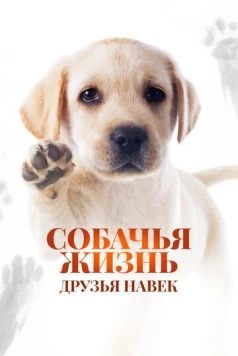 Собачья жизнь: Друзья навек / Zai jian, Li Kele 2023 скачать через торрент в хорошем качестве