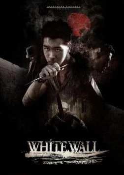 Белая стена / White Wall 2010 скачать через торрент в хорошем качестве