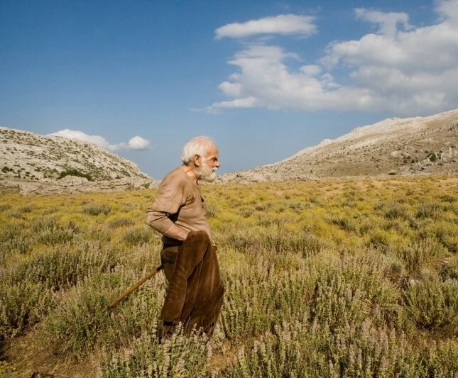 Сонетаула 2008 скачать с торрента Сонетаула 2008 скачать с торрента