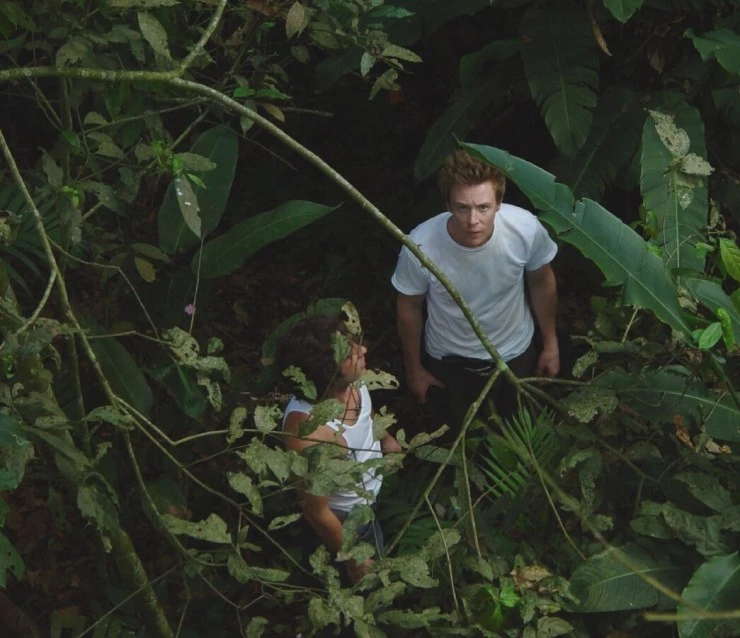 Тропики 2004 скачать торрентом Тропики 2004 скачать торрентом