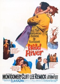 Дикая река / Wild River 1960 скачать через торрент в хорошем качестве