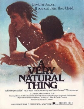 Вполне естественно / A Very Natural Thing 1974 скачать через торрент в хорошем качестве