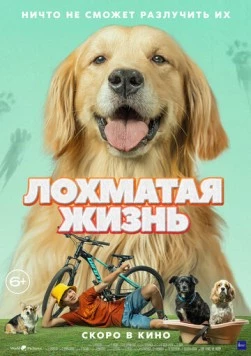 Лохматая жизнь / Алдагдсан өдрүүд 2023 скачать через торрент в хорошем качестве