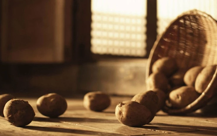 Картошка 2012 скачать через торрент бесплатно Картошка 2012 скачать через торрент бесплатно