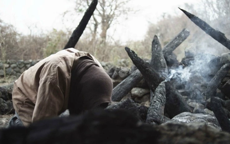 Картошка 2012 скачать торрентом Картошка 2012 скачать торрентом