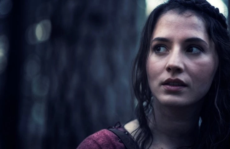 Викинги 2014 скачать с торрента Викинги 2014 скачать с торрента