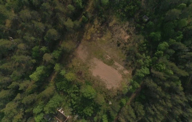 Затихшие голоса 2018 скачать через торрент бесплатно Затихшие голоса 2018 скачать через торрент бесплатно