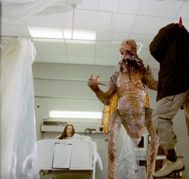 Человек-комар 2005 скачать через торрент бесплатно Человек-комар 2005 скачать через торрент бесплатно