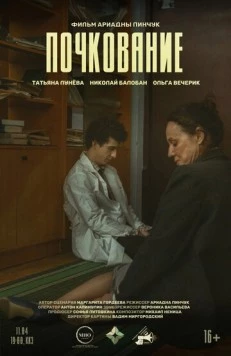 Почкование 2025 скачать через торрент в хорошем качестве