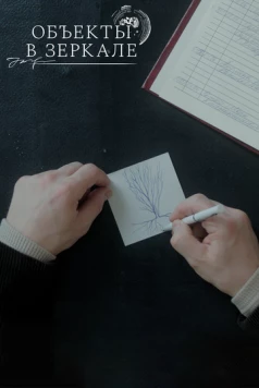 Объекты в зеркале 2022 скачать через торрент в хорошем качестве