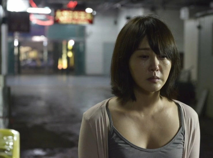 Миджо 2014 скачать торрентом Миджо 2014 скачать торрентом