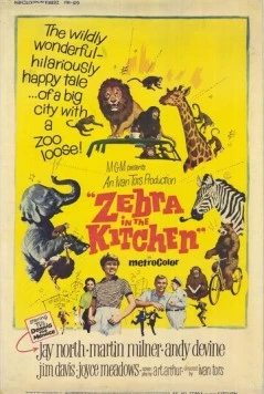 Зебра на кухне / Zebra in the Kitchen 1965 скачать через торрент в хорошем качестве