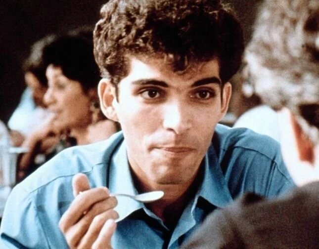 Клубничное и шоколадное 1993 скачать торрентом Клубничное и шоколадное 1993 скачать торрентом