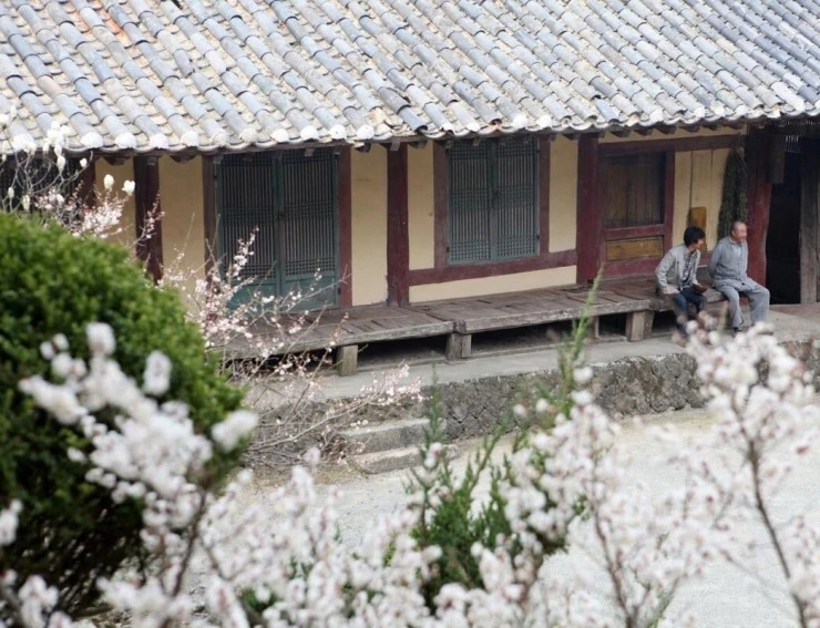 Как путешествовать с быком 2010 скачать через торрент бесплатно Как путешествовать с быком 2010 скачать через торрент бесплатно