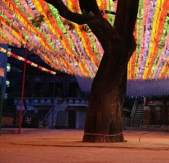 Как путешествовать с быком 2010 скачать торрентом Как путешествовать с быком 2010 скачать торрентом