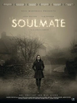 Родственная душа / Soulmate 2013 скачать через торрент в хорошем качестве