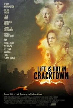 Веселая жизнь в Крэктауне / Life Is Hot in Cracktown 2008 скачать через торрент в хорошем качестве