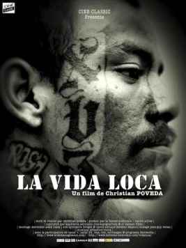 Безумная жизнь / La vida loca 2008 скачать через торрент в хорошем качестве
