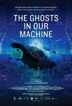 Призраки в нашей машине / The Ghosts in Our Machine 2013 скачать через торрент в хорошем качестве