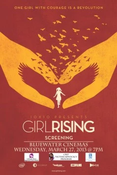 Женское восхождение / Girl Rising 2013 скачать через торрент в хорошем качестве
