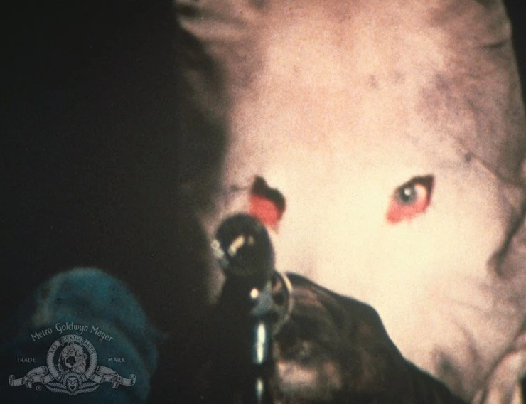 Город, который боялся заката 1976 скачать через торрент бесплатно Город, который боялся заката 1976 скачать через торрент бесплатно