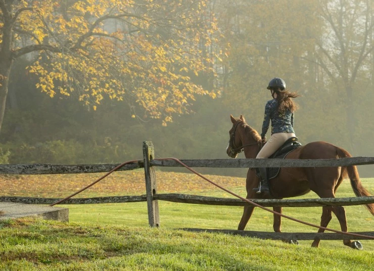 Галопом к мечте 2022 скачать торрентом Галопом к мечте 2022 скачать торрентом