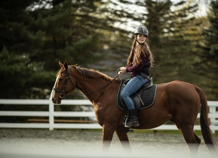 Галопом к мечте 2022 скачать с торрента Галопом к мечте 2022 скачать с торрента