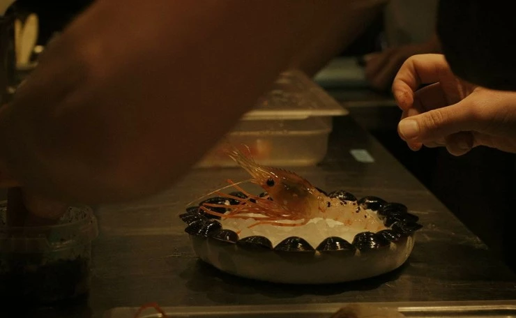 Муравьи на креветке 2016 скачать с торрента Муравьи на креветке 2016 скачать с торрента