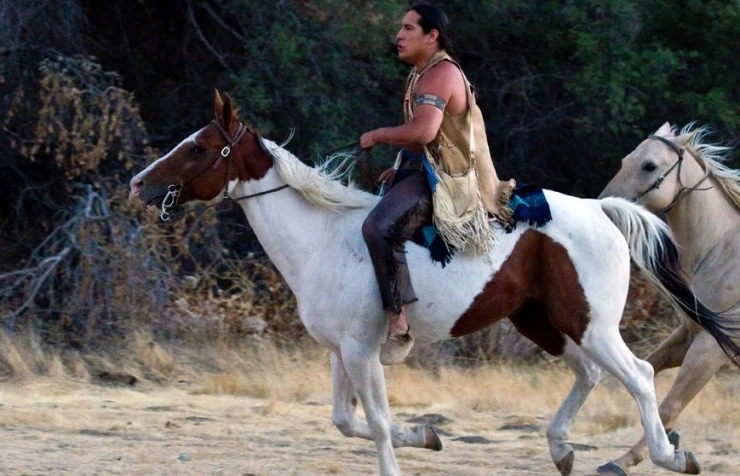 Золотая лихорадка 2011 скачать с торрента Золотая лихорадка 2011 скачать с торрента