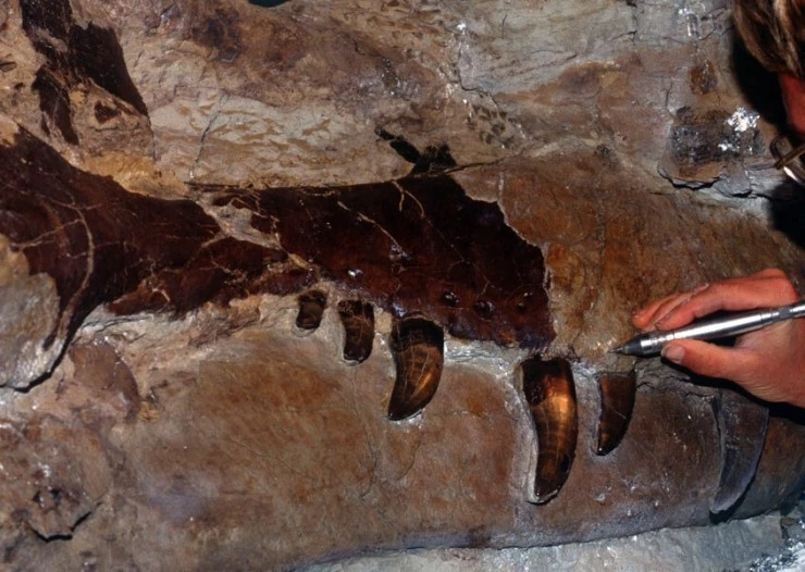 Динозавр 13 2014 скачать с торрента Динозавр 13 2014 скачать с торрента