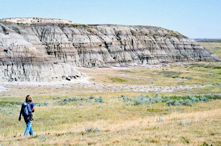 Динозавр 13 2014 скачать торрентом Динозавр 13 2014 скачать торрентом