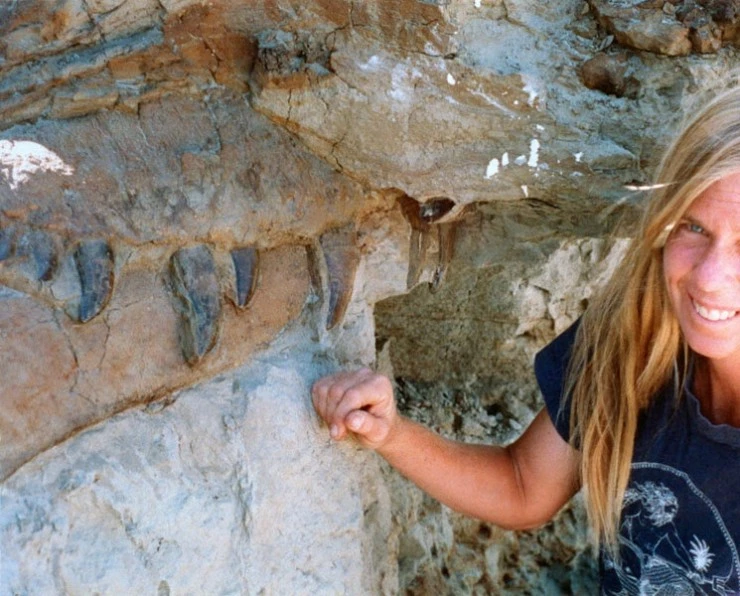 Динозавр 13 2014 скачать через торрент бесплатно Динозавр 13 2014 скачать через торрент бесплатно