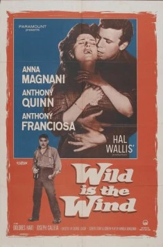 Дикий ветер / Wild Is the Wind 1957 скачать через торрент в хорошем качестве