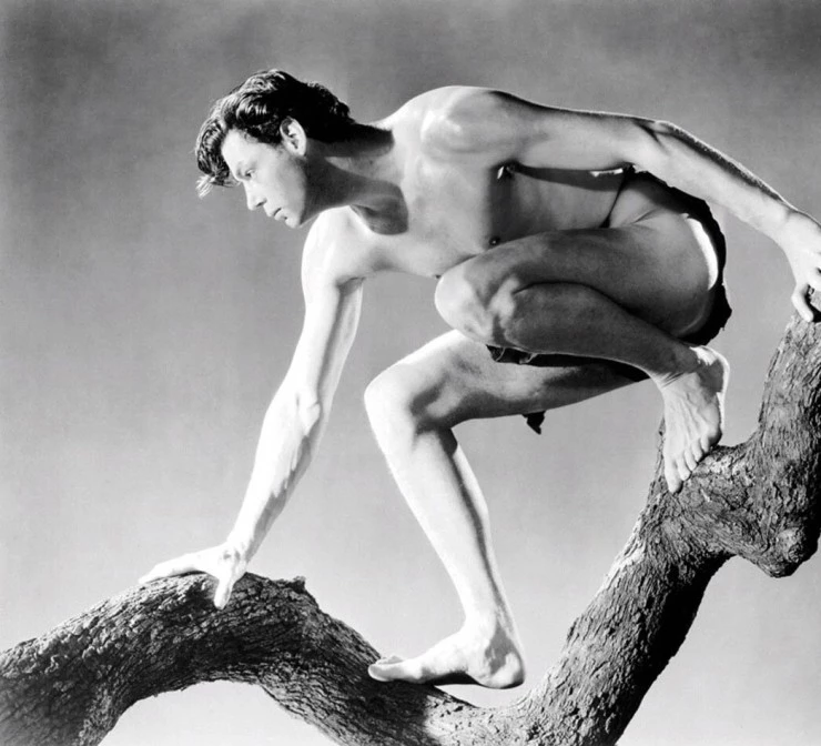 Тарзан и его подруга 1934 скачать торрентом Тарзан и его подруга 1934 скачать торрентом