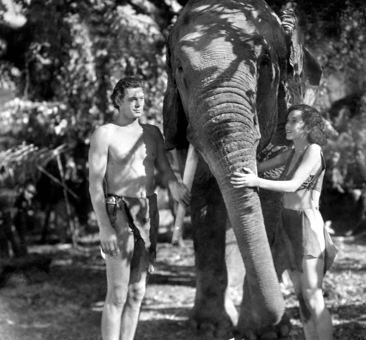 Тарзан и его подруга 1934 скачать через торрент бесплатно Тарзан и его подруга 1934 скачать через торрент бесплатно