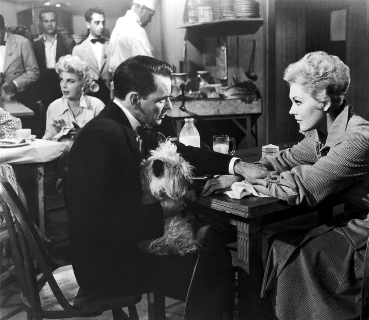 Приятель Джои 1957 скачать с торрента Приятель Джои 1957 скачать с торрента